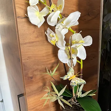 Alex Apartman Veliko Tarnovo